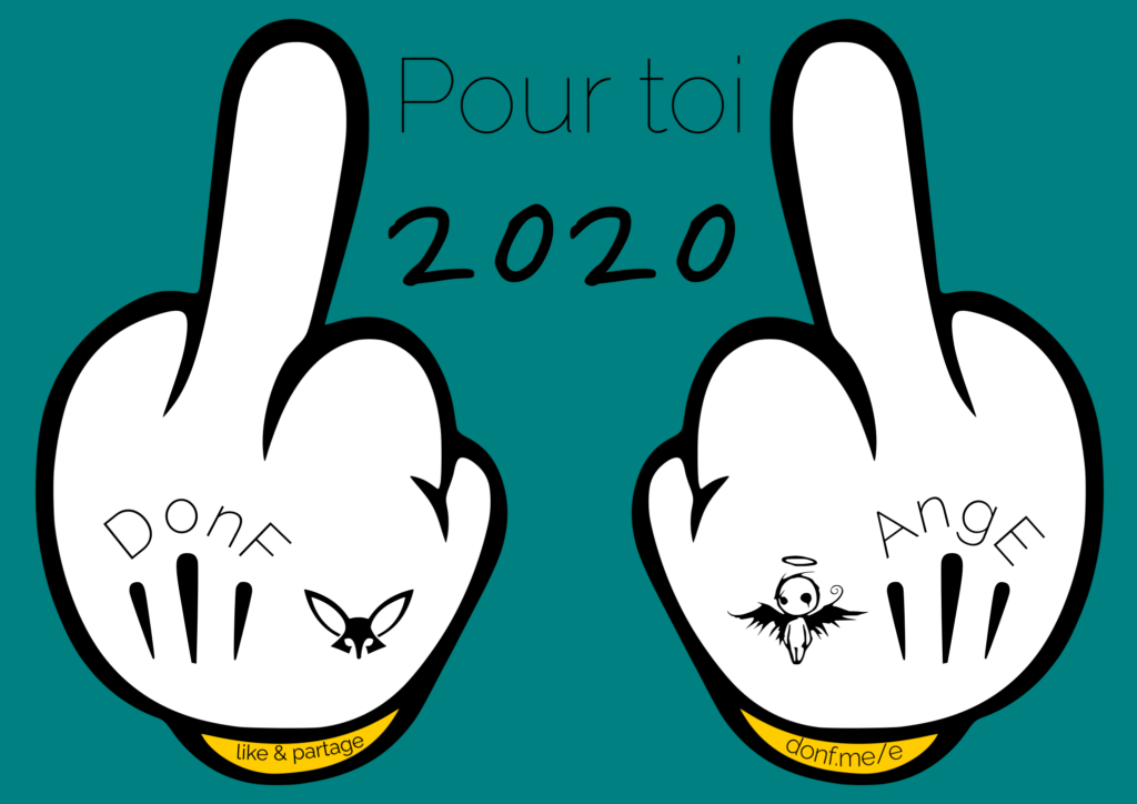 Adieu 2020 - Bilan et perspectives